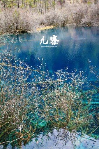 蓝狐视频